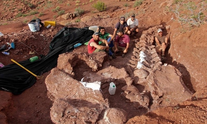 paleontologists claim finding fossils of biggest dinosaur