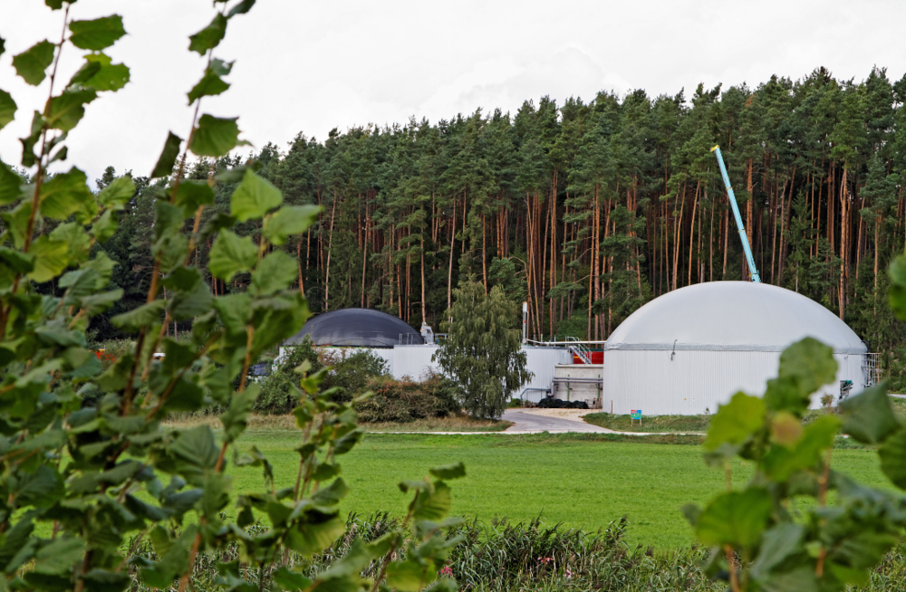 Chinese biomass technology to alleviate Pakistan’s energy crisis