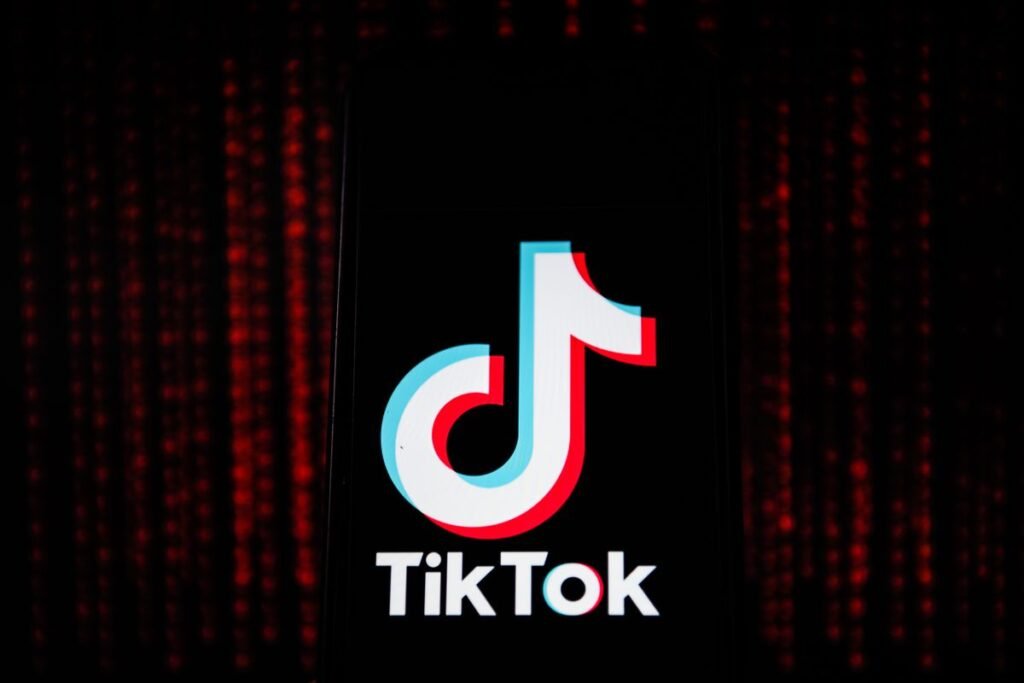 No objection on objectionable: TikTok restored in Pakistan