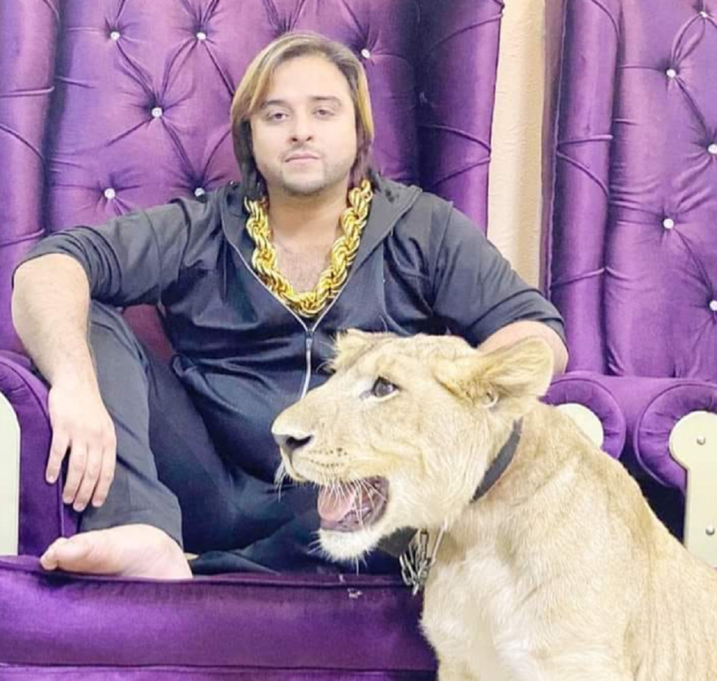 Crossed the Line of Pet Ethics: Social Media very upset with TikToker Kashif Zameer’s Viral Video Beating lion pet