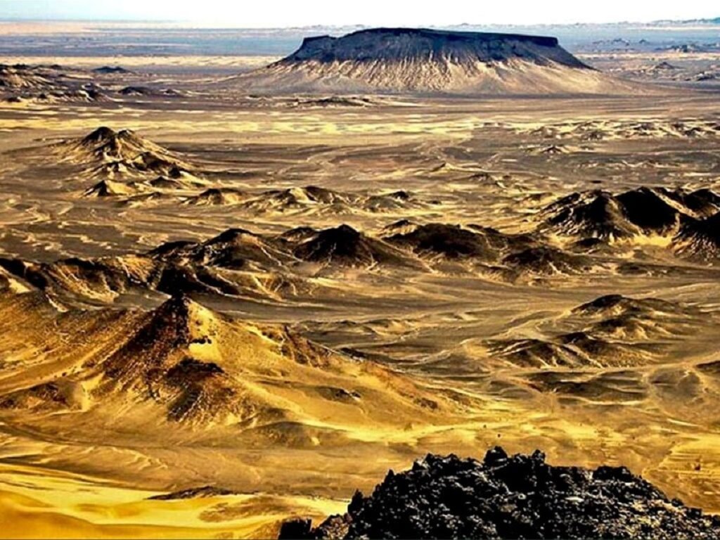 Landslide Victory of Pakistan & PIA @ Virgin Islands – Hi-court unfreezes airline’s assets