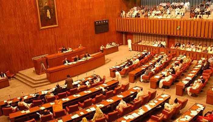 Senate passes FATF Bill amid opposition’s protest