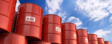 Petroleum imports almost double in July-October