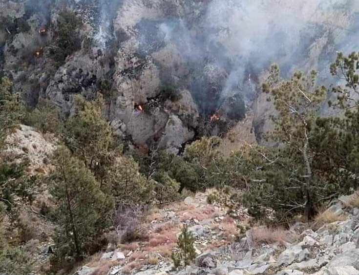 Shirani Forest Fire Burns