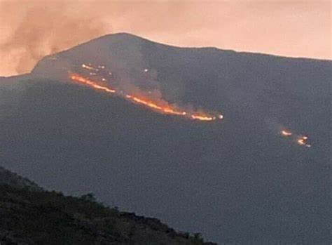 Balochistan Pine Fire: Zhob forms task force, declares emergency