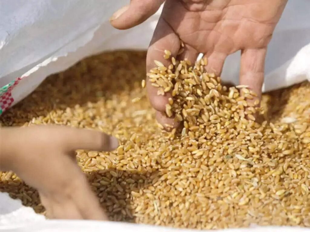 UAE slaps ban on Indian wheat exports