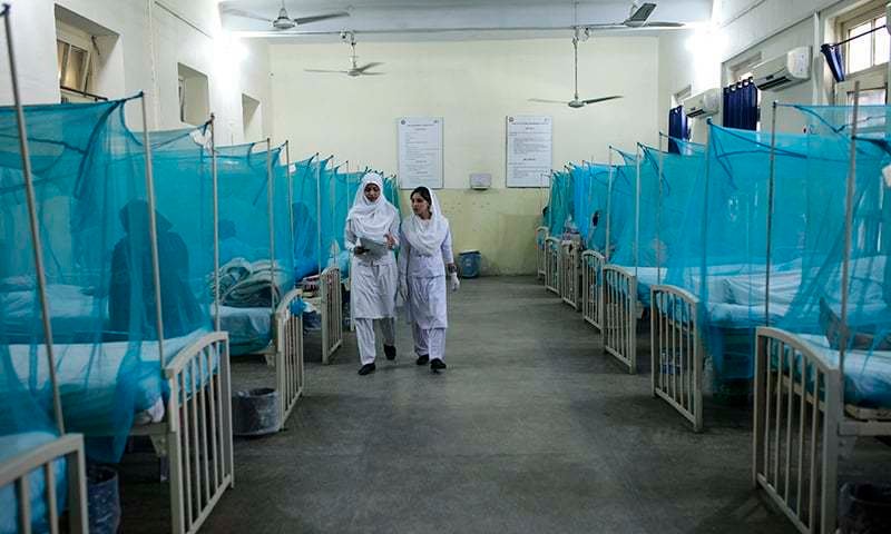 Islamabad Reported 75 New Dengue Cases