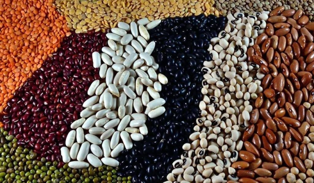 Pulses Prices increased by 10 to 15 percent in the wholesale market