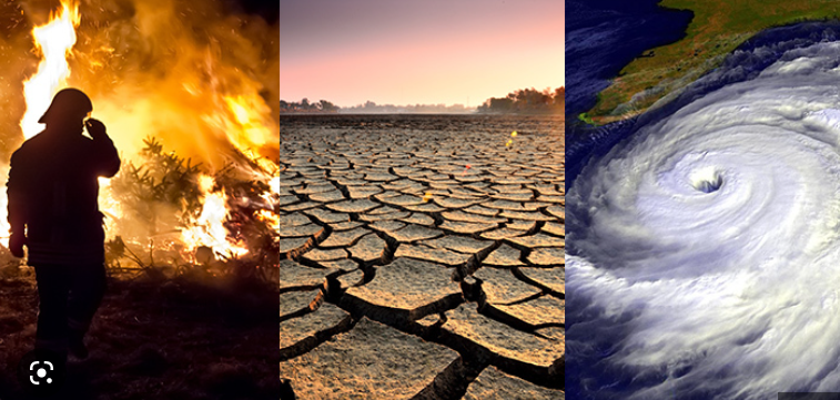 10 Hot Consumer Trends: Life in a Climate-Impacted Future