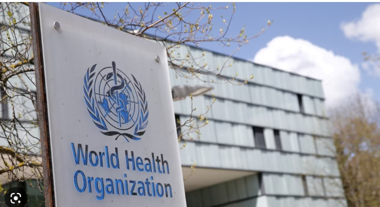 Pakistan among nations at risk from toxic fat: WHO