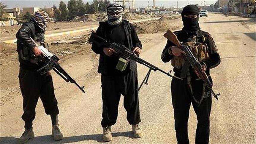 Nine Terrorists, Including Daesh Commanders, Arrested in CTD Operations
