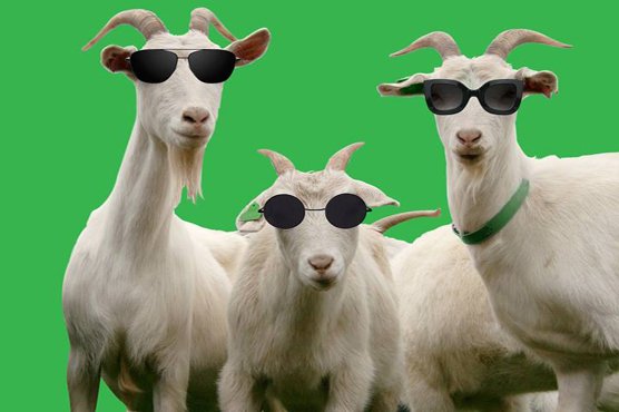 Expected Date for Eid-ul-Azha 2023 Revealed