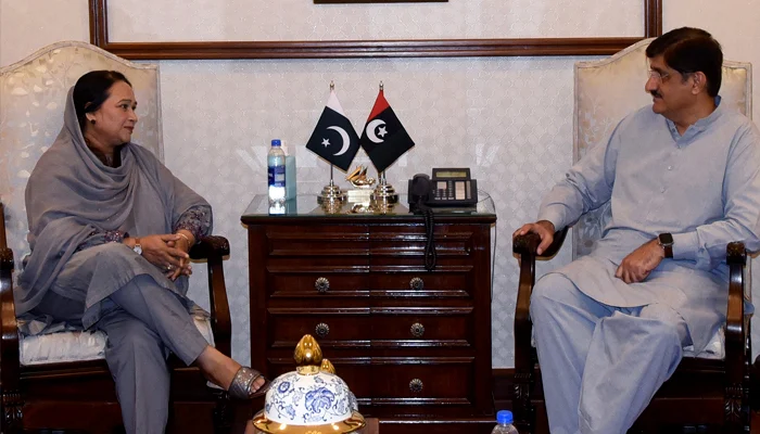 Sindh Chief Minister holds meeting with an Opposition leader to choose caretaker CM