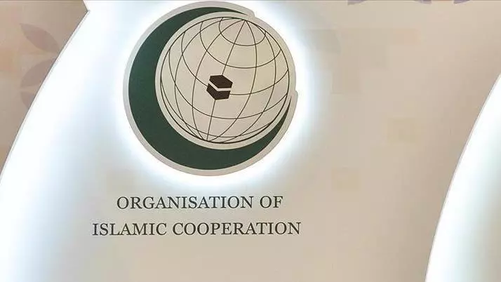 OIC Muslim Bloc Delegation Arrives in China, Scheduled to Tour Xinjiang Region