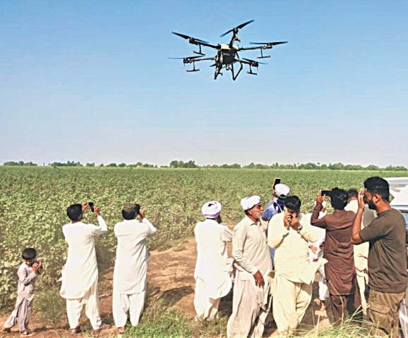 Stakeholders Unite to Protect Punjab Cotton Crop from Whitefly Infestation