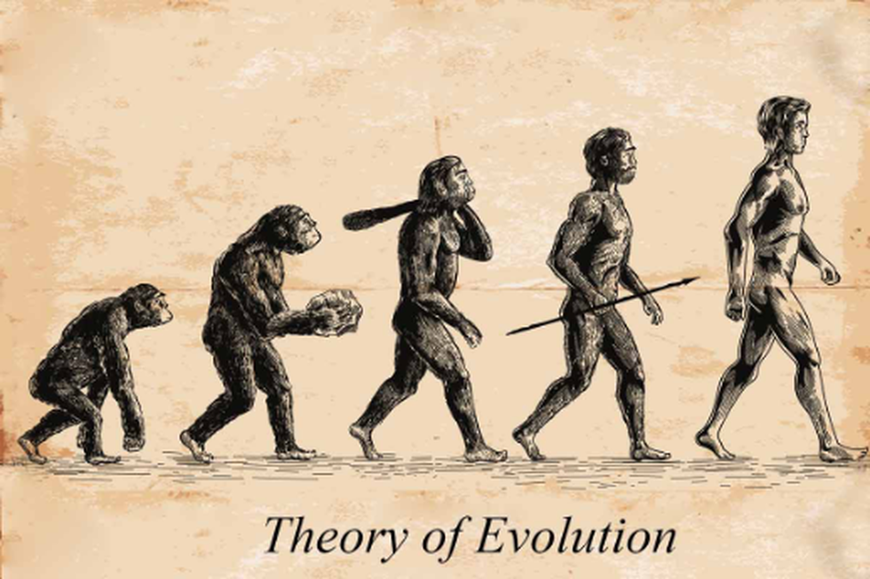 Professor Issues Apology for Instructing Evolution Theory