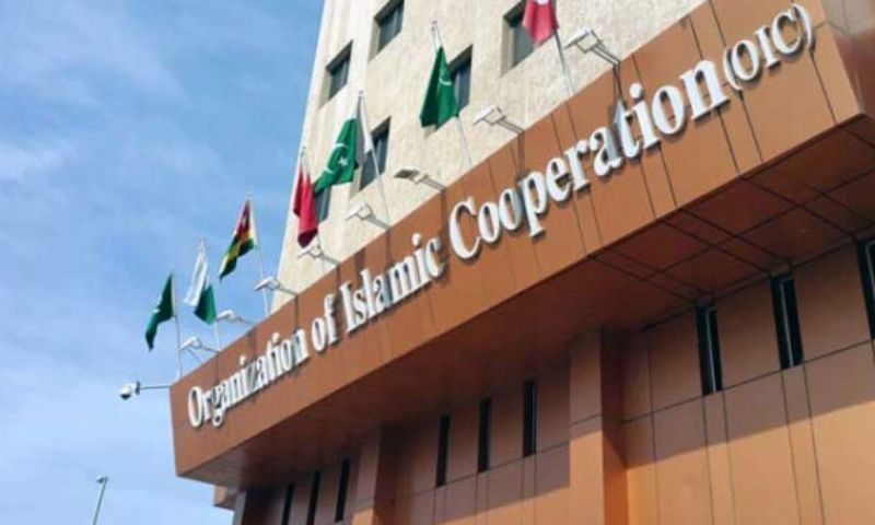 OIC strongly condemns continued Israeli massacre and war crimes in Gaza