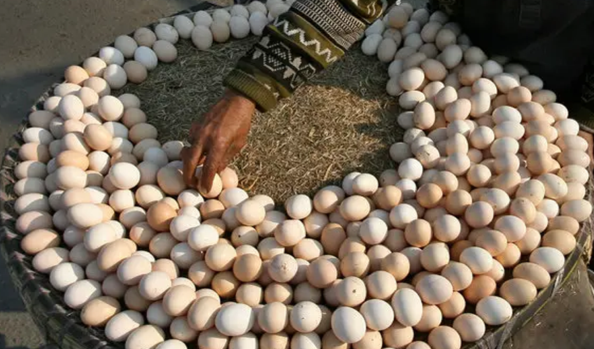Karachi Egg Prices Skyrocket to Rs400 per Dozen, Nearly Equal to Chicken Meat Rates