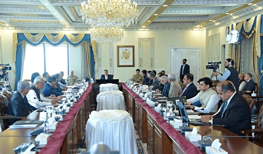 Caretaker Cabinet Approves Ordinance Paving the Way for Government Entities’ Privatization