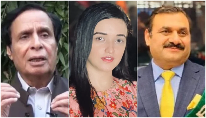 Supreme Court Grants Approval for Elahi and Sanam to Contest February 8 Polls on PTI Ticket