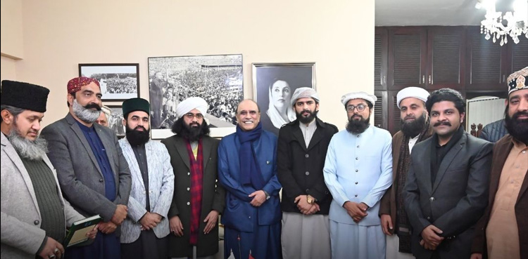 PTI Candidates Declare Support for PPP in Rawalpindi and Islamabad