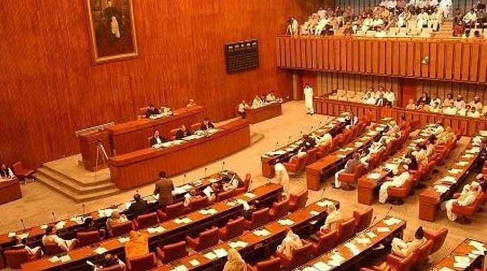 Senate Rejects Bill Proposing Public Hanging for Rape Convicts