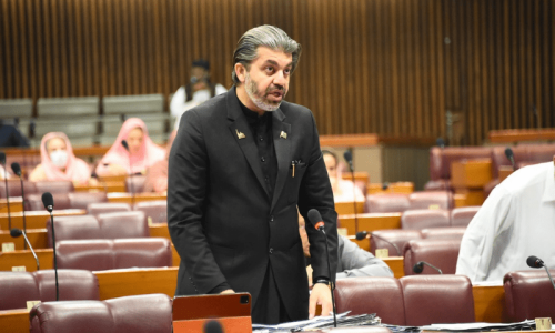 PTI’s Ali Muhammad Khan Asserts Caretaker Setup Ministers Ineligible for Election Contest