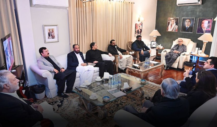 ANP Declares Support for Zardari in Presidential Elections