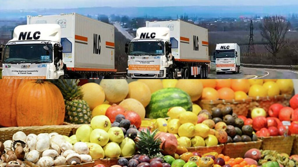 Pakistan-Russia Trade Reaches New Heights as Land Routes Facilitate Breakthrough Fruit Delivery