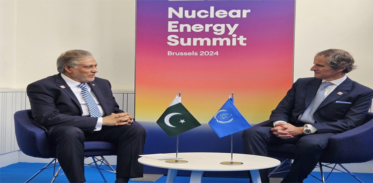 Foreign Minister Ishaq Dar Commends IAEA’s Role in Nuclear Technology Advancement
