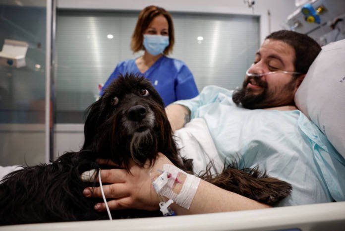 Spanish Hospital Introduces Therapy Dogs to Lift Spirits of ICU Patients