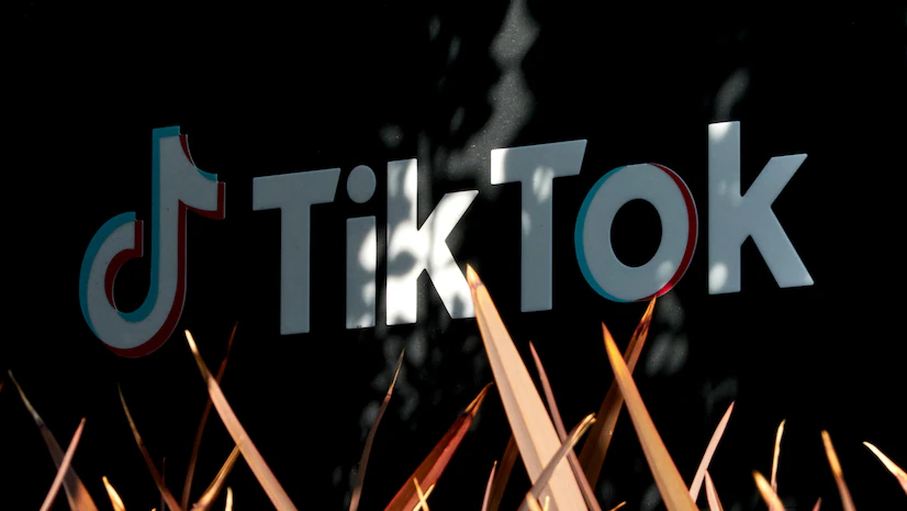 TikTok, ByteDance Seek Legal Protection, Sue US Law to Prevent App Sale or Ban
