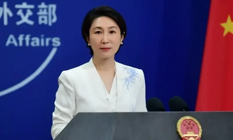 Chinese Government Backs Pakistan’s Probe into Bisham Attack, Stresses Perpetrator Accountability