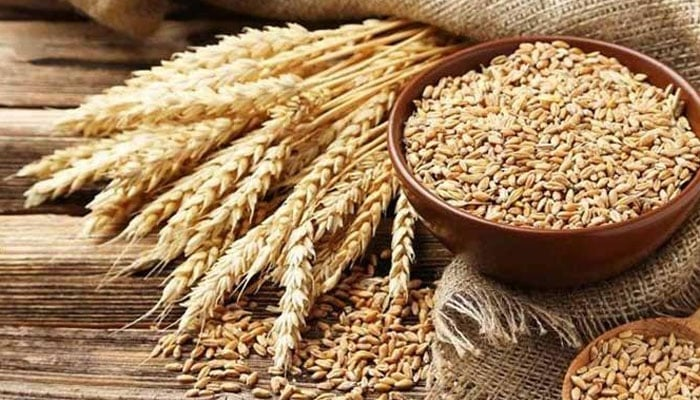 Wheat Import Scandal: Inquiry Committee Discovers Vital Evidence