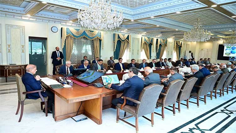 PM Shehbaz Credits Government Policies for Surge in Foreign Investment