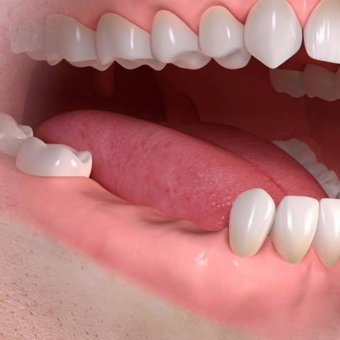 new drug that helps teeth grow back is getting ready for testing on people
