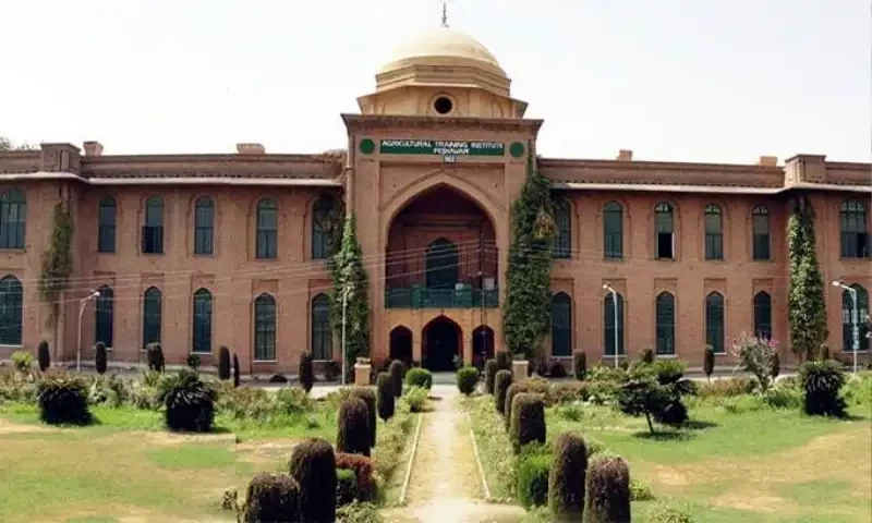 Committee Considers Closing 14 KP Universities Amid Poor Performance and Financial Crisis