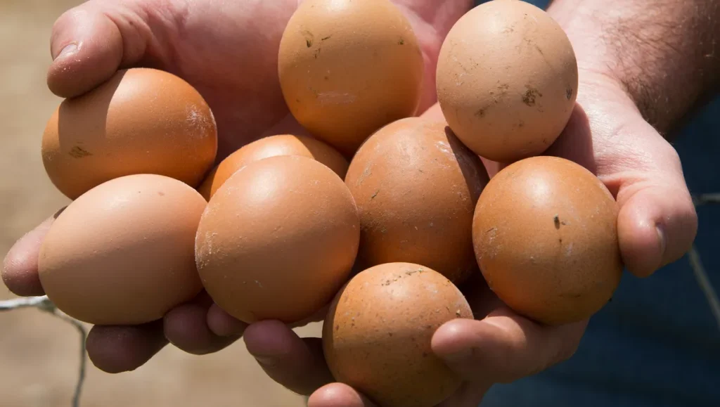 There been a significant surge in chicken and egg prices