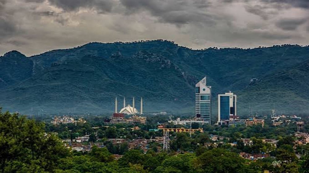 CDA plans to plant one million trees across Margalla Hills