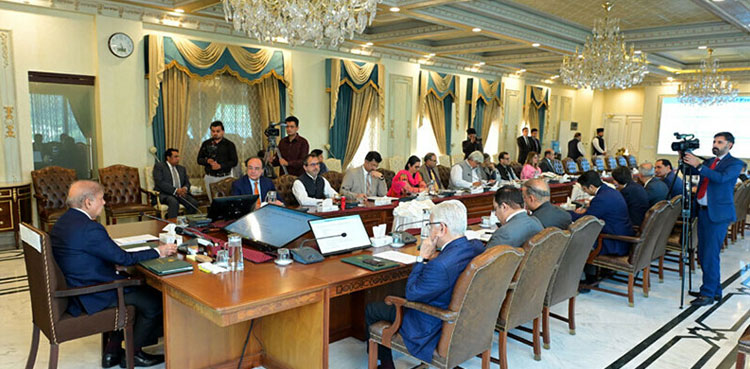 Federal Cabinet Approves Privatization of 13 Power Division Entities