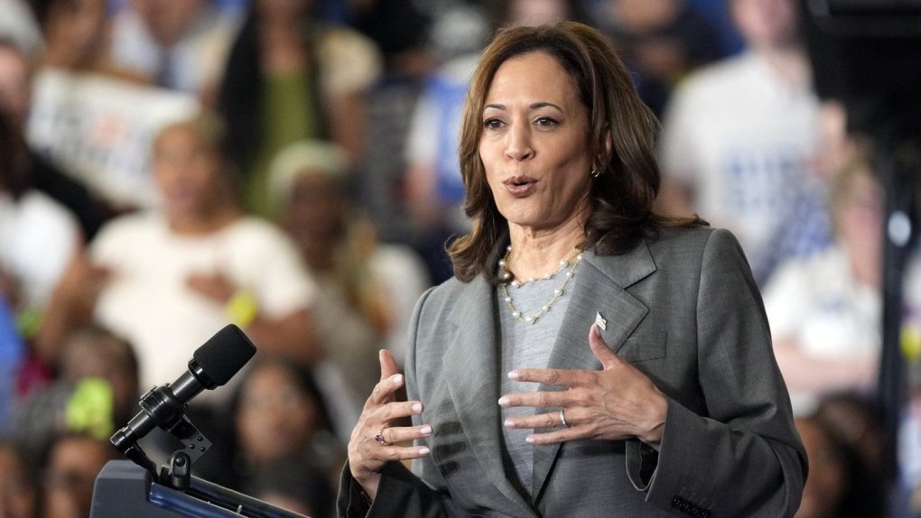 Leading US Democrats unite as Harris advances toward securing the nomination for upcoming election