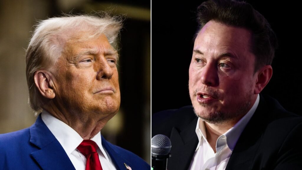 Trump suggests Musk might advise his administration