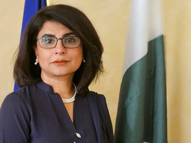Amna Baloch is set to be appointed as the foreign secretary, while Zahra will be appointed as ambassador to France