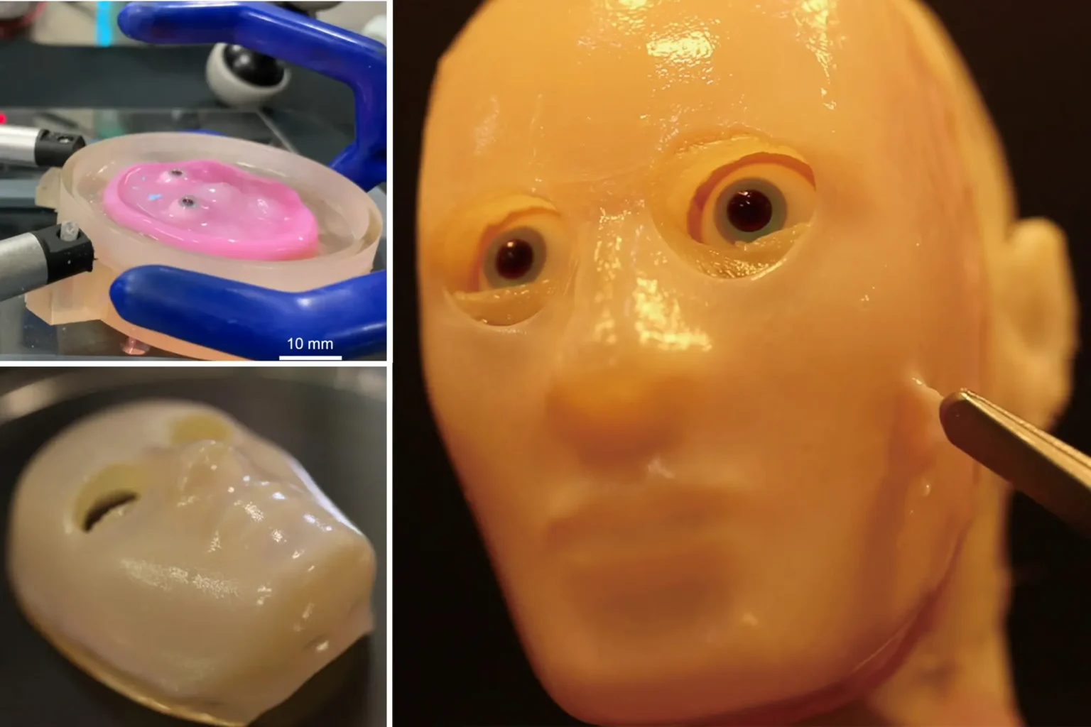 Japanese Scientists Create Smiling Robot with Self-Healing Living Skin