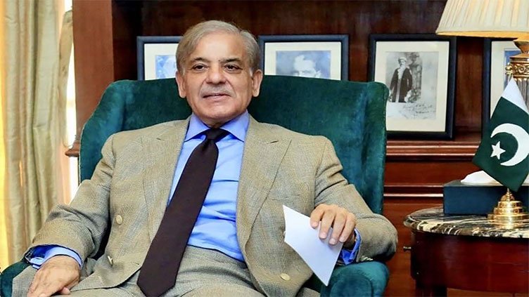 Prime Minister Shehbaz Sharif: Government Will Not Rest Until Polio Is Eradicated