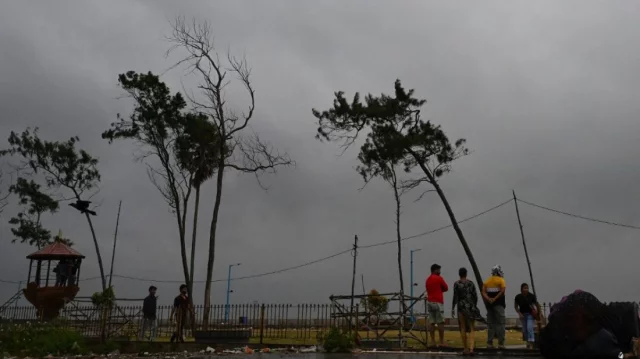 Cyclone Dana Strikes India: Trees and Power Lines Flattened