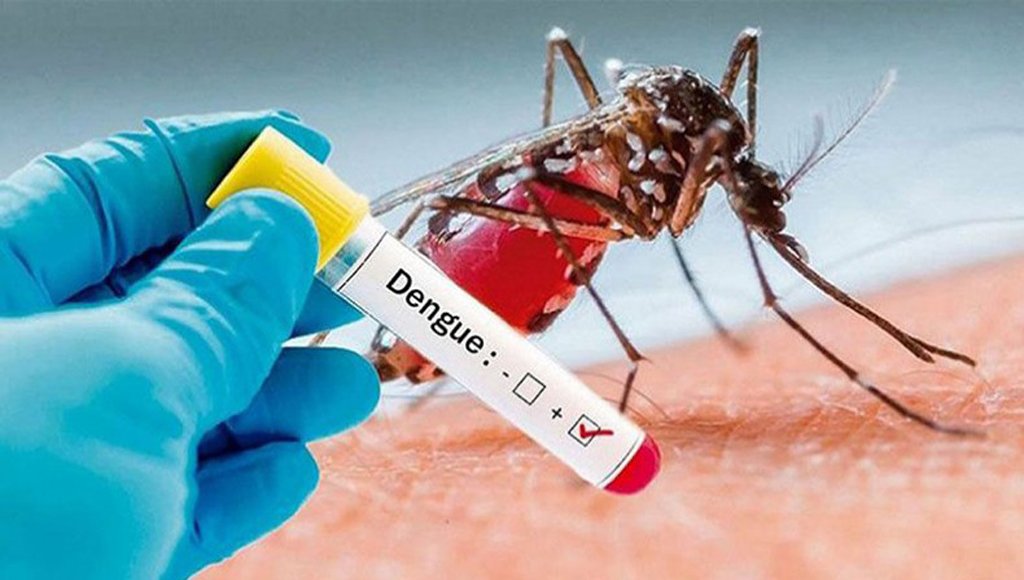 Dengue Emergency Declared as Cases Surge Alarmingly