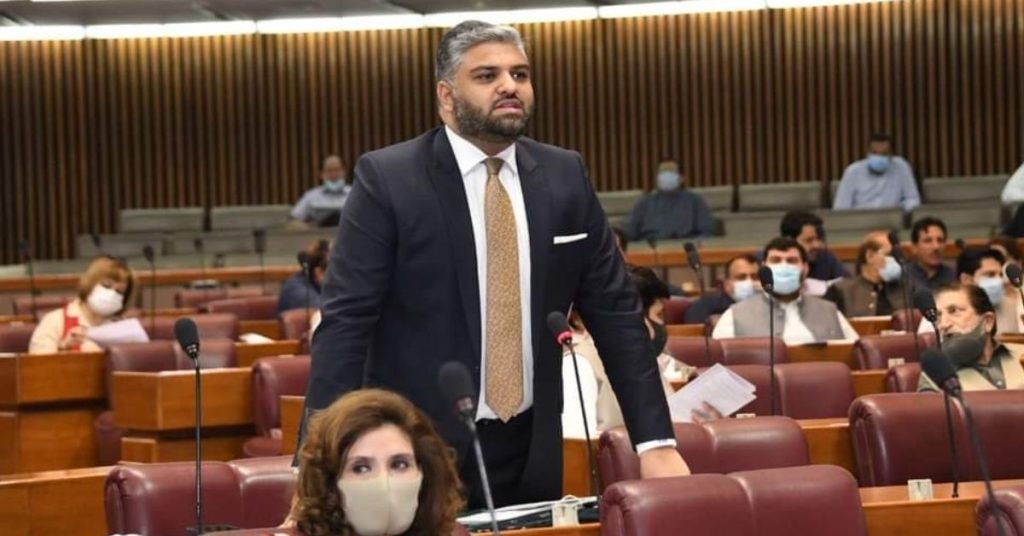 Zain Qureshi Resignation as PTI’s Deputy Parliamentary Leader in the National Assembly