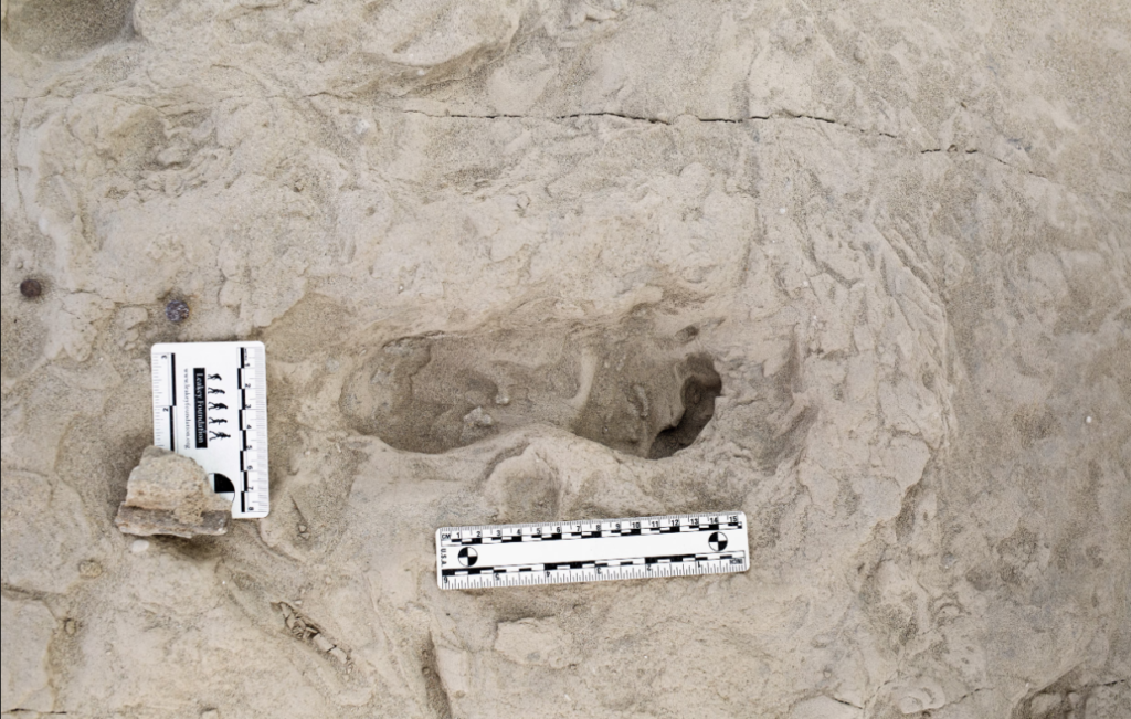 Fossil Footprints Unveil Coexistence of Two Ancient Human Species in Kenya