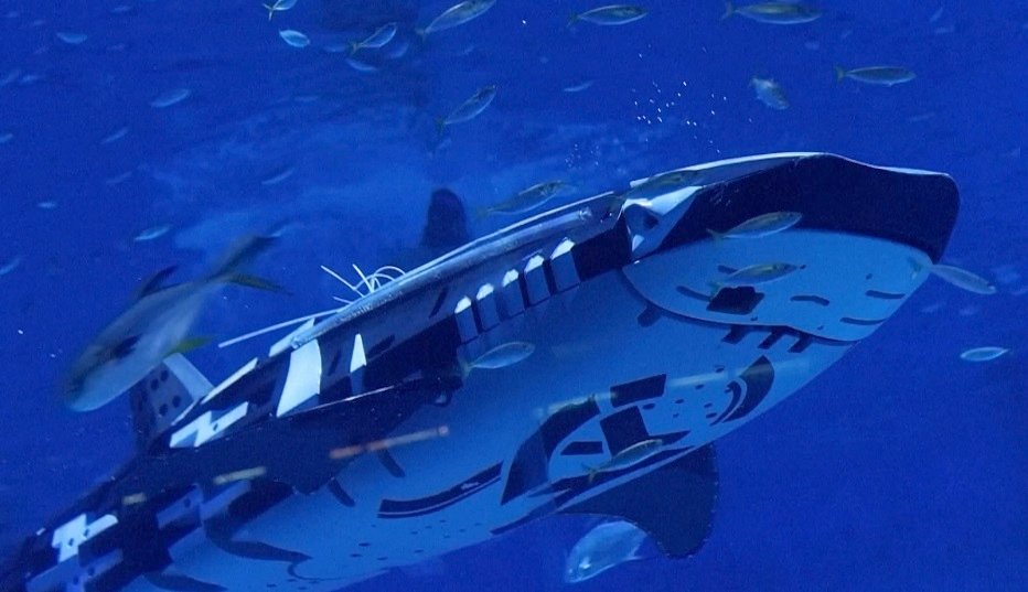 China’s robotic whale shark goes viral on social media